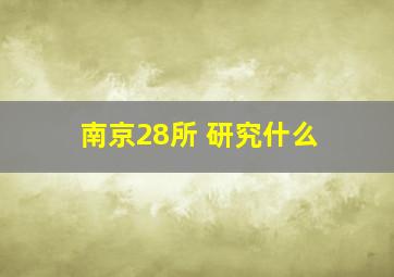 南京28所 研究什么